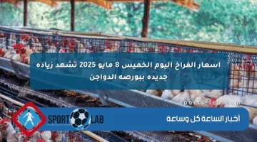 أسعار الفراخ اليوم الخميس 8 مايو 2025 تشهد زيادة جديدة ببورصة الدواجن